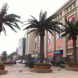 उष्णकटिबंधीय इनडोर और आउटडोर तारीख ताड़ के पेड़ कमरे या यात्रा सजावट के लिए बड़े फाइबर ग्लास कृत्रिम घास - Product Image 3