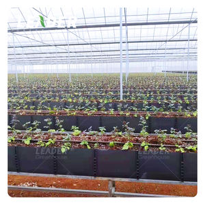 Gouttière <span class=keywords><strong>de</strong></span> culture en PVC 0.7/0.8mm personnalisée serre cerise <span class=keywords><strong>tomate</strong></span> système bac <span class=keywords><strong>de</strong></span> drainage hors sol - Product Image 1