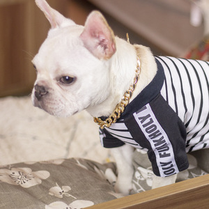 Gold Chain <b>Collar</b> For <b>Small</b> <b>Dogs</b> Adjustable Plastic With Bells Pet Accessory - Product Image 4