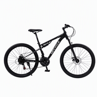 Sepeda Gunung Anak 2026 Baru 20 Inch Garpu Baja untuk Anak Usia 10 Tahun, Suspensi Penuh, Rem Cakram, Single Speed
