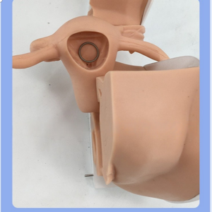 PVC kontrasepsiyon rehberlik modeli kadın üreme anatomisi jinekolojik muayene eğitim modeli doğum sonrası kurtarma - Product Image 4