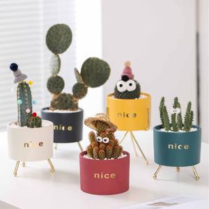 Petit pot de fleurs en céramique nordique moderne personnalisé avec fer forgé pour jardin en gros Ins charnu - Product Image 1