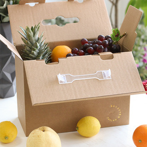 Portable <b>Kraft</b> Corrugated Embossed Fruit Packaging <b>Box</b> with Custom Logo Recyclable Foldable Carton for Fresh Fruit Gift Shipping - Product Image 4