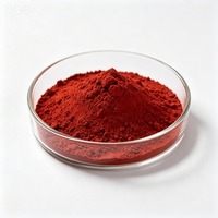 Poudre de Pigment Rouge Oxyde de Fer Haute Pureté Qualité Industrielle Inorganique Fe2O3 CAS 1309-37-1 pour Peinture Revêtement Béton Céramique