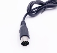 OEM-Hersteller Stecker Kabelbaum baugruppe m12 Kabel Buchse und Stecker Hoch temperatur Auto Elektrokabel PARALLEL KABEL