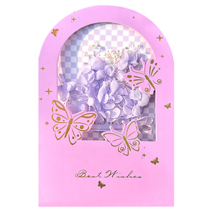 Nouvelle Arrivée : <span class=keywords><strong>Carte</strong></span> <span class=keywords><strong>Postale</strong></span> Exquise Style Enveloppe avec Motif Papillon Rêveur et Fleurs Séchées – Mini <span class=keywords><strong>Carte</strong></span> Pliante en Papier - Product Image 5