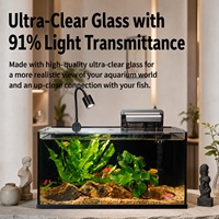 Aquarium de bureau avec couvercle PC, lampe LED et filtre externe, fourniture personnalisée d'usine