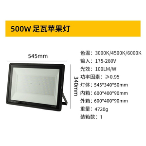 Projecteur LED 300W IP65 6000K Lumière du jour Corps en plastique à poser au sol Haute luminosité Utilisation extérieure Jardin Certifié CE Télécommande - Product Image 6