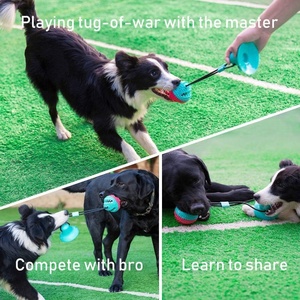 Interactieve voerbal voor kleine en middelgrote honden om bezig te blijven en verveling te verlichten. Puppy speeltje. - Product Image 2