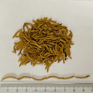<strong>Natural</strong> Dried Yellow Mealworms High Protein <strong>Feed</strong> for Bluebirds <strong>Chickens</strong> Hedgehogs Reptiles - Product Image 2