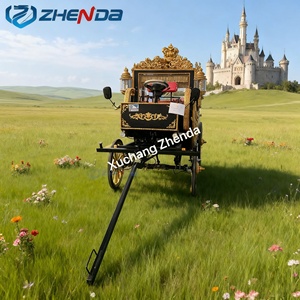 2026 Calèche de mariage et de tourisme avec auvent, double fonction : calèche à chevaux / calèche électrique de tourisme - Product Image 2