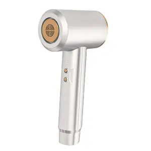 Factory Wholesale Negative Ion Portable Low Noise High Wind Hot and Cold Blowing Wireless Hair Dryer