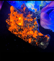 Vente en gros de pierres précieuses réactives aux UV Yooperlite naturelles Cristal Poli Tête de dragon Crânes Sculpture
