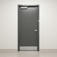 Porte en acier et verre coupe-feu 20-180 minutes, certifiée WH, pour usage commercial intérieur, design minimaliste pour hôpitaux et entrepôts