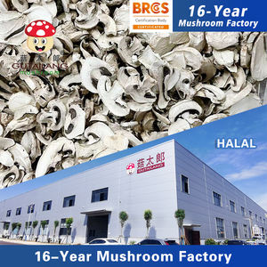 מחירי שוק סיטונאי של פטריות שמפיניון מיובשות, חתיכות פטריות, פרוסות שמפיניון מיובשות, גוטאיילנג, פטריות כפתור מיובשות - Product Image 1