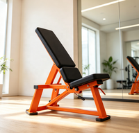Banc d'entraînement réglable en acier moderne pour haltères, idéal pour la salle de sport