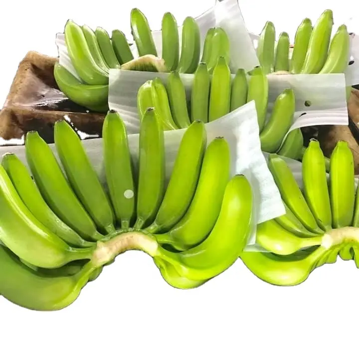 Harga Terbaik Vietnam Cavendish Banana Kualitas Tinggi untuk Ekspor