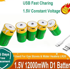 Batterie au lithium polymère D1 LR20 1,5 V 12000 mWh avec câble USB de type C à charge rapide - Product Image 2