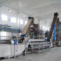 Hoge Kwaliteit Bananensap Pulp Puree Pasta Wijn Maken Vulmachine Verwerkingslijn Productie Fabriek