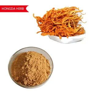 Hongda कैस 73-03-0 1% 3% 5% 15% Cordyceps Militaris निकालने Cordycepin