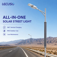 Lampadaire solaire vertical 60W 100W avec panneau solaire intégré, batterie LiFePO4, IP65, installation sur poteau