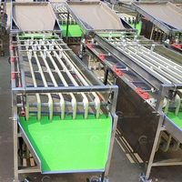 Kersen sorteermachine met roestvrijstalen rollers voor passievrucht, pruim, jujube, sinaasappel en kleine bessen.