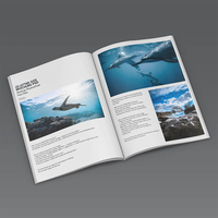 Conception et impression personnalisées de manuels d'échantillons de livres promotionnels d'entreprise, de dépliants promotionnels, de brochures de livres à couverture rigide