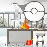 Sensor Alarm Asap Cerdas WiFi Independen, Detektor Alarm Kebakaran, Sistem Keamanan Rumah, Perlindungan Kebakaran Nirkabel Bertenaga Baterai