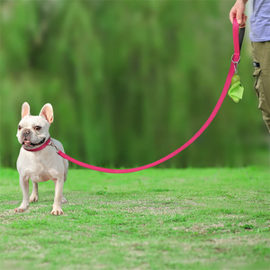 Fabricantes Oem Alta Qualidade Logotipo Personalizado Punho Acochoado Reflexivo Nylon <span class=keywords><strong>Dog</strong></span> Pet Chumbo Trelas <span class=keywords><strong>Dog</strong></span> Lead - Product Image 5
