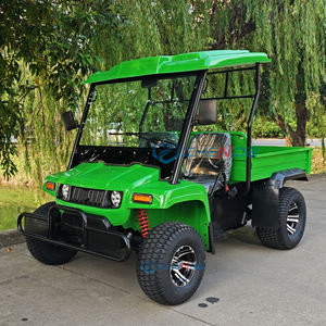 Disesuaikan kargo hijau Jeep transportasi khusus tahan lama multiguna listrik Jeep oleh produsen - Product Image 5