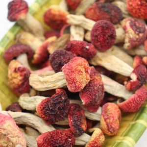 Jamur Himalaya Segar Berkualitas Tinggi, Jamur Merah Korea yang Dapat Dimakan - Product Image 5