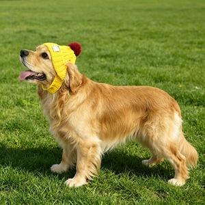 Gorro de Invierno para Mascotas Golden Pet, Gorro Tejido de Lana Cálido para Perros y Gatos, Color Sólido, Estilo Festivo con Pompón - Product Image 3