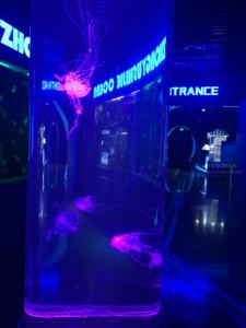 Acryl <span class=keywords><strong>Aquarium</strong></span> <span class=keywords><strong>Aquarium</strong></span> Acryl <span class=keywords><strong>Aquarium</strong></span> Restaurant Goedkope Acryl Aquaria - Product Image 4