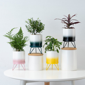 <span class=keywords><strong>Maceta</strong></span> de <span class=keywords><strong>Hierro</strong></span> Estilo Nórdico para Suculentas, Soporte Simple de <span class=keywords><strong>Hierro</strong></span> para Flores, <span class=keywords><strong>Maceta</strong></span> Hidropónica de Cerámica - Product Image 2