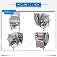 Éplucheur automatique à haute fréquence, ustensile de cuisine, éplucheur d'écrous rôti humide, usine alimentaire, populaire