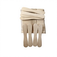 Bâtonnets de crème glacée et bâtonnets artisanaux en bois flexibles, écologiques et portables, pour la vente en gros
