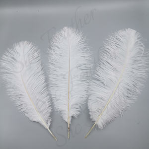 Grandes Plumes d'Autruche Artificielles Blanches de 15-80 cm, en Vrac, pour Décorations de Fête, Mariages, Carnavals, Artisanat, Teintes Naturellement, Offre à Bas Prix - Product Image 3