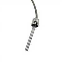 Sonde de température à ressort SR103-1 PT100/PT1000 -70 à 550 °C, diamètre 4/5/6 mm, précision 0,1 %, 2/3/4 fils, pour applications industrielles et roulements en plastique