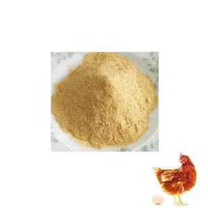 Best Price Animal Feeds Vitamin Premix For Poultry Feed