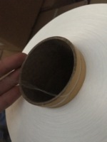 Fil NYLON 6 blanc brut DTY-SD 70D/24F/2 DDB NIM GRADE AA PA 6 Filament Nylon