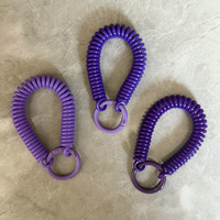 Porte-clés spirale couleur bonbon, cordon élastique rétractable anti-perte pour porte-cartes et porte-clés