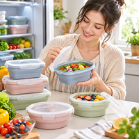Ensemble de boîtes à lunch pliables en silicone de qualité alimentaire, compatibles micro-ondes, étanches, réutilisables, pour la préparation des repas, sans BPA, personnalisables