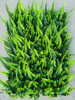 Panneaux de décoration murale en herbe artificielle verte d'intérieur 40*60cm Décoration intérieure Revêtement mural en plantes artificielles
