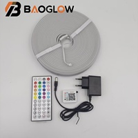 Tira de Luces LED RGB Inteligente de 5m 10m 20m 24V 60Leds/m con Control Remoto IP67, Luces de Neón LED Multicolores para Sala de Estar y Hogar