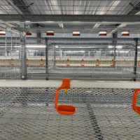 Nouvelle cage à poulets automatique de type H KangFaJiXie KF-HB1 pour poulets de chair, en matériau galvanisé, garantie 5 ans, capacité 180-240