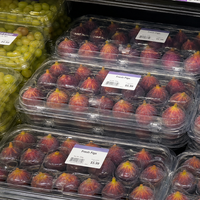 Conteneur alimentaire en PET à 15 compartiments, adapté aux applications d'emballage en supermarché