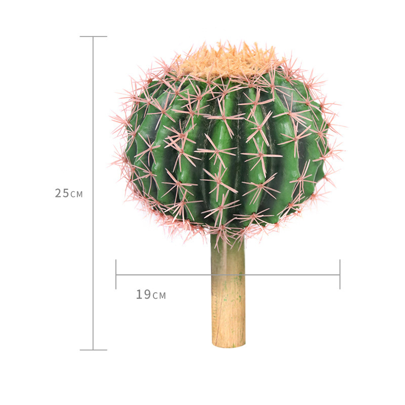 19cm