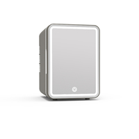 Mini-réfrigérateur portable 4L, refroidisseur et chauffe-eau 12V/220V, petit réfrigérateur de voiture avec miroir LED en verre