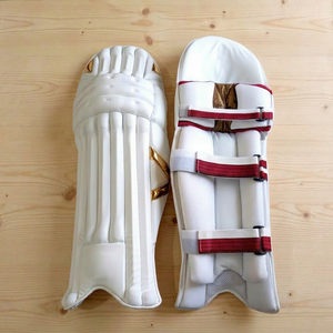 Customized Cricket Batting <b>Pads</b> Manufacturer Test Quality Pro Leg Guards OEM ODM Sports Protection Gear for Brands Distributors - Product Image 1