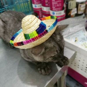 Sombrero <span class=keywords><strong>de</strong></span> Paja para Mascotas, Mini Sombrero Mexicano, Gorra <span class=keywords><strong>de</strong></span> Protección Solar para Perros y Gatos, Sombrero <span class=keywords><strong>de</strong></span> Mimbre <span class=keywords><strong>Tejido</strong></span> a Mano para Perros Pequeños, Oferta <span class=keywords><strong>de</strong></span> Verano - Product Image 3